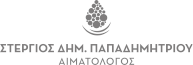 stergios_papadimitriou_kataskevi_logotipou_digidot_-20