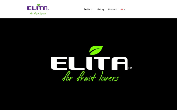 web_design_arxiki_digidot-03