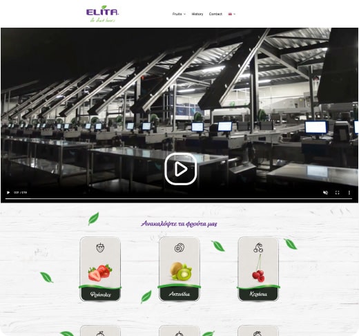 web-design-digidot-03-min